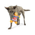 Huxley & Kent Ugly Sweater G-Man Dog Toy